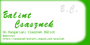 balint csasznek business card